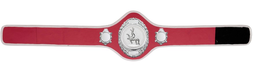 WRESTLING BELT-PRO286/S/WRESTS-10+ COLOURS
